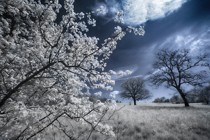 Clicca per
                  allargare la foto