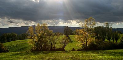 Clicca per allargare la foto