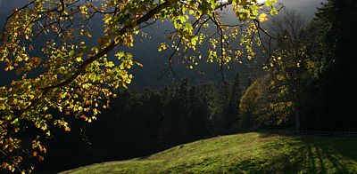 Clicca per allargare la foto