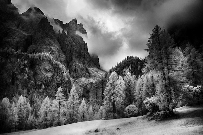 Clicca per allargare la foto