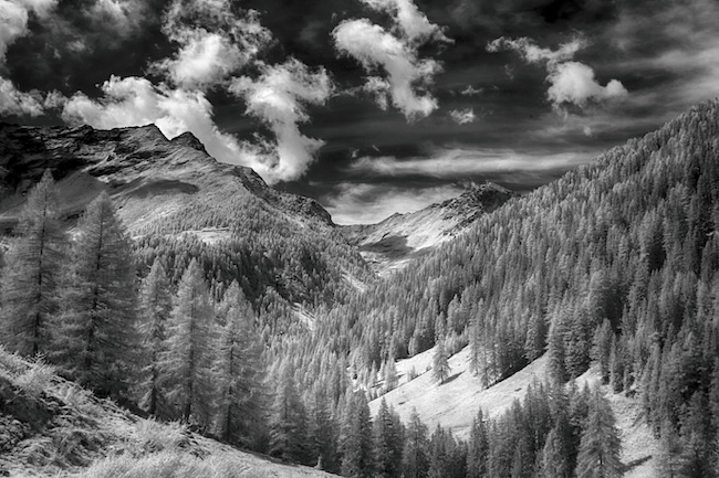 Clicca per allargare la foto