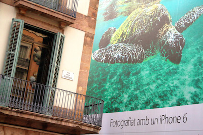 Clicca per allargare la foto