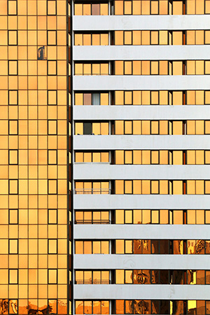 Clicca per allargare la foto