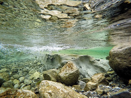 Clicca per allargare la foto