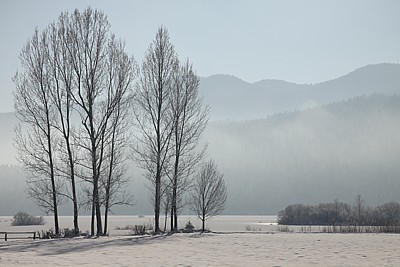 Clicca per allargare la foto