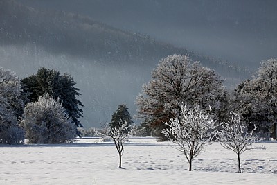 Clicca per allargare la foto