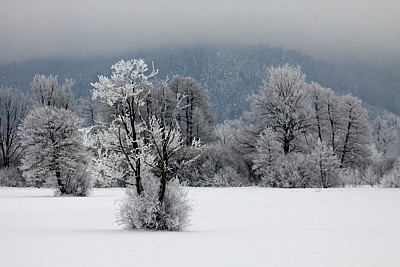 Clicca per allargare la foto