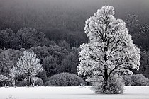 Clicca per
                  allargare la foto